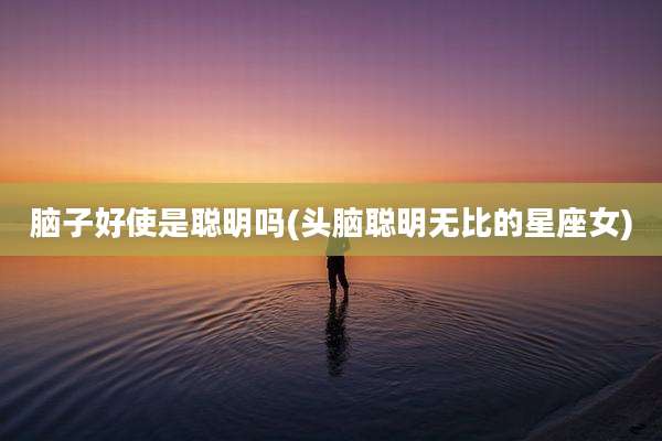 脑子好使是聪明吗(头脑聪明无比的星座女)