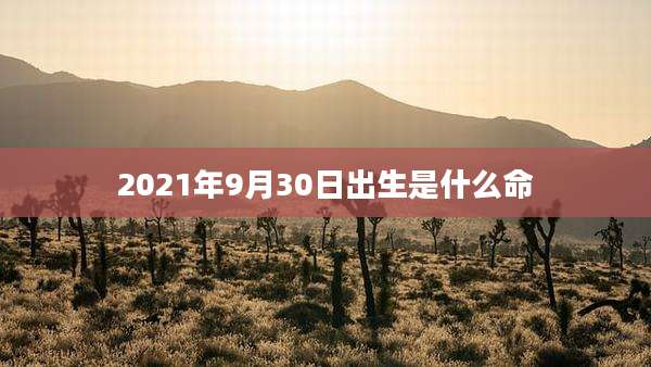 2021年9月30日出生是什么命