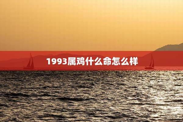 1993属鸡什么命怎么样