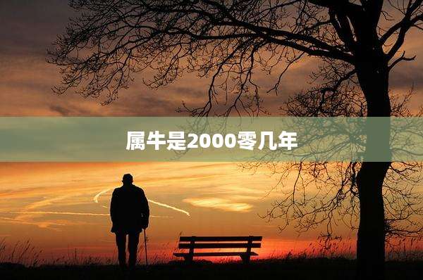 属牛是2000零几年