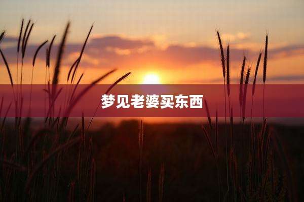 梦见老婆买东西