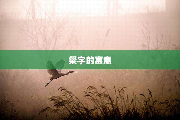 粲字的寓意