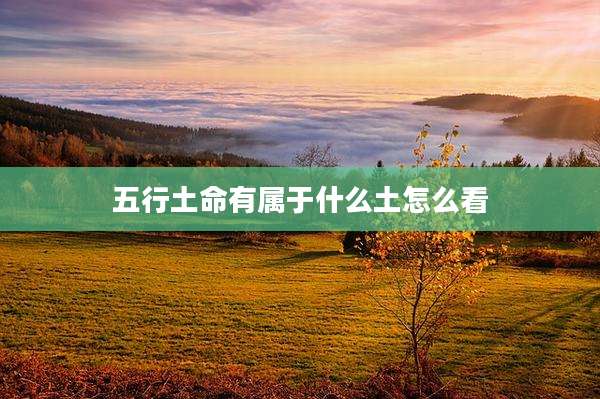 五行土命有属于什么土怎么看