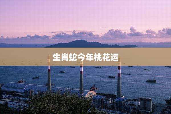 生肖蛇今年桃花运