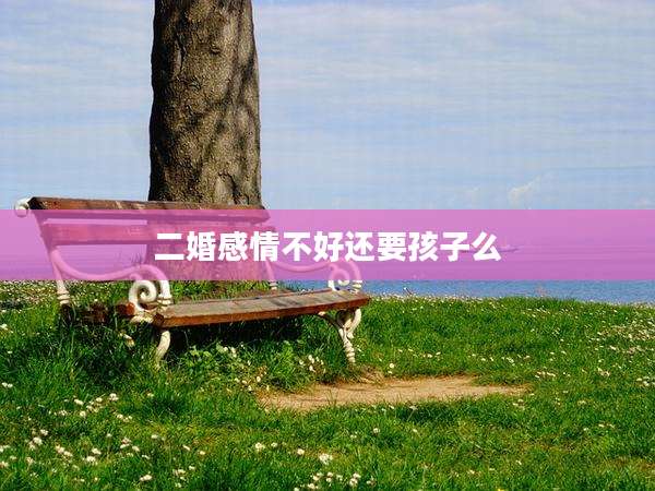 二婚感情不好还要孩子么