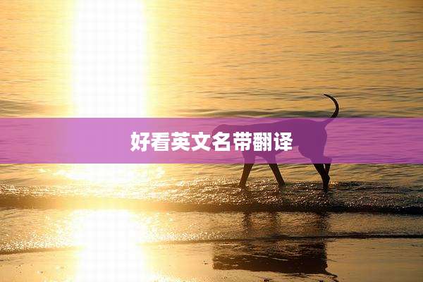好看英文名带翻译