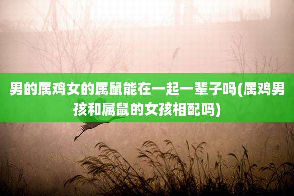 男的属鸡女的属鼠能在一起一辈子吗(属鸡男孩和属鼠的女孩相配吗)