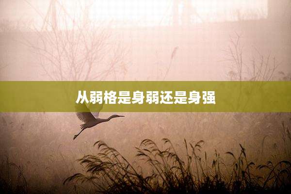 从弱格是身弱还是身强