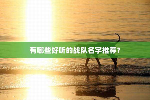 有哪些好听的战队名字推荐？