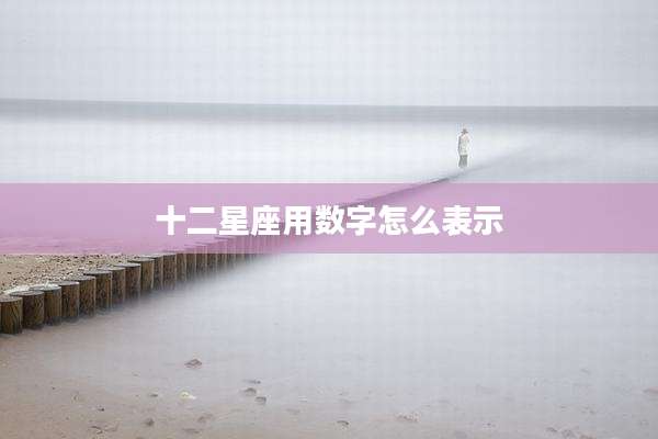 十二星座用数字怎么表示