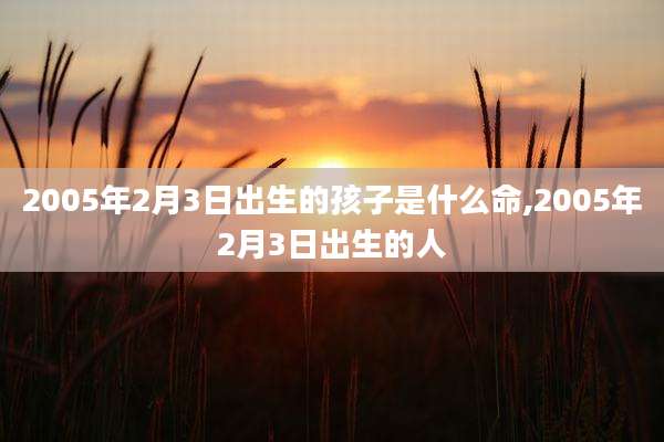 2005年2月3日出生的孩子是什么命,2005年2月3日出生的人