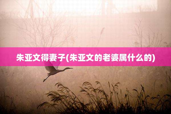 朱亚文得妻子(朱亚文的老婆属什么的)