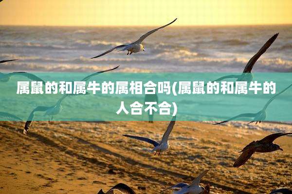属鼠的和属牛的属相合吗(属鼠的和属牛的人合不合)