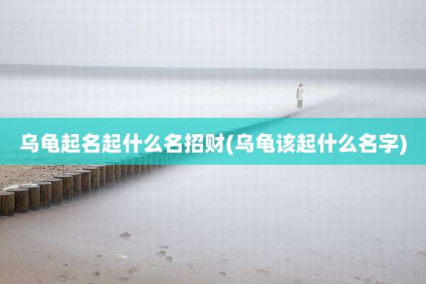 乌龟起名起什么名招财(乌龟该起什么名字)
