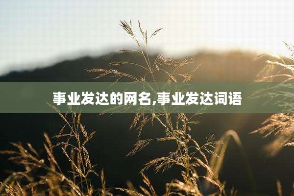 事业发达的网名,事业发达词语