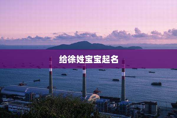 给徐姓宝宝起名