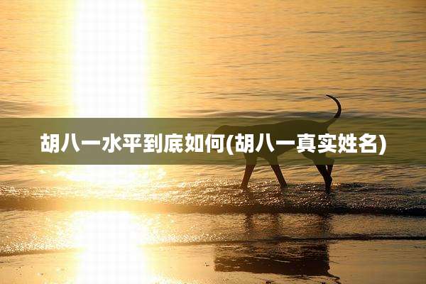 胡八一水平到底如何(胡八一真实姓名)