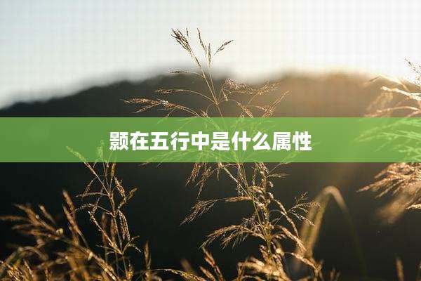 颢在五行中是什么属性
