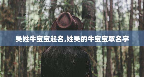 吴姓牛宝宝起名,姓吴的牛宝宝取名字