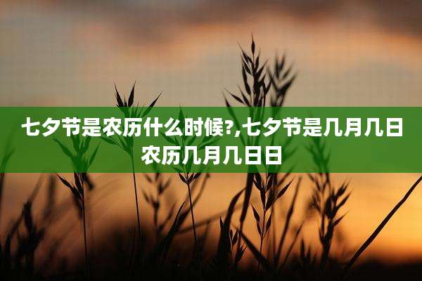 七夕节是农历什么时候?,七夕节是几月几日农历几月几日日