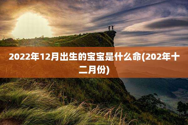 2022年12月出生的宝宝是什么命(202年十二月份)