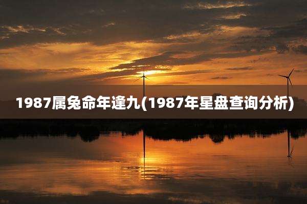 1987属兔命年逢九(1987年星盘查询分析)