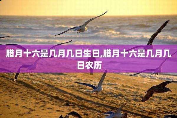 腊月十六是几月几日生日,腊月十六是几月几日农历