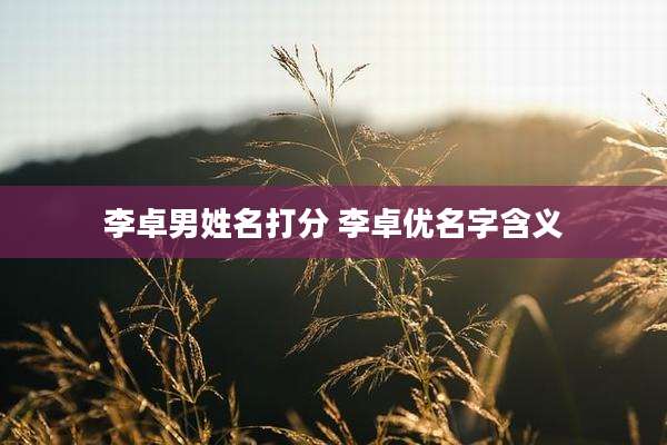 李卓男姓名打分 李卓优名字含义