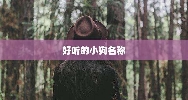 好听的小狗名称