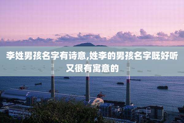 李姓男孩名字有诗意,姓李的男孩名字既好听又很有寓意的