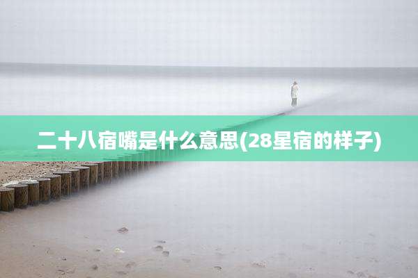 二十八宿嘴是什么意思(28星宿的样子)
