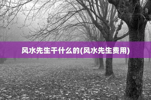 风水先生干什么的(风水先生费用)