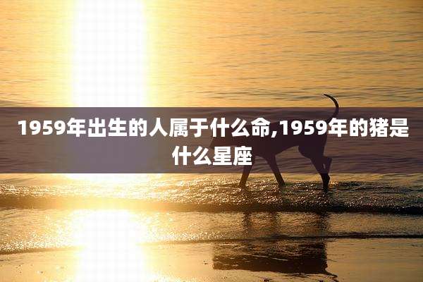 1959年出生的人属于什么命,1959年的猪是什么星座