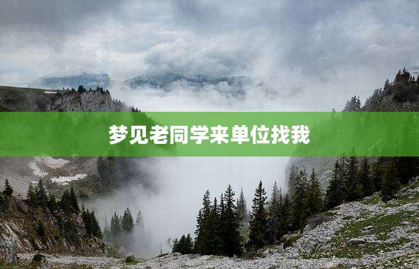 梦见老同学来单位找我