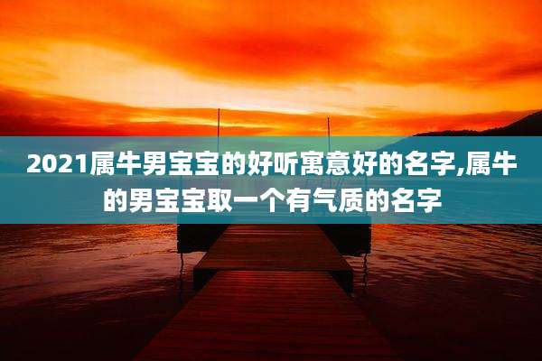 2021属牛男宝宝的好听寓意好的名字,属牛的男宝宝取一个有气质的名字