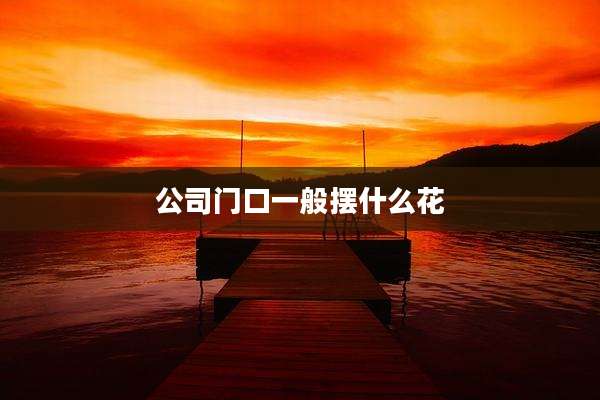 公司门口一般摆什么花