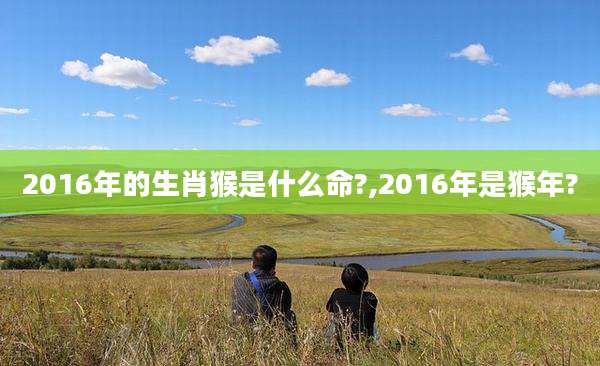 2016年的生肖猴是什么命?,2016年是猴年?