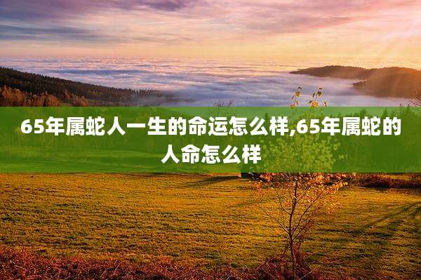 65年属蛇人一生的命运怎么样,65年属蛇的人命怎么样