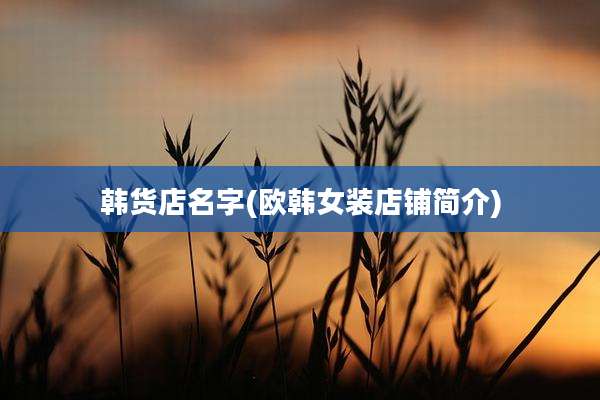 韩货店名字(欧韩女装店铺简介)
