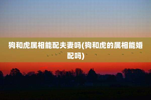 狗和虎属相能配夫妻吗(狗和虎的属相能婚配吗)