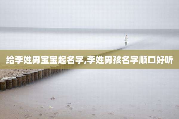 给李姓男宝宝起名字,李姓男孩名字顺口好听