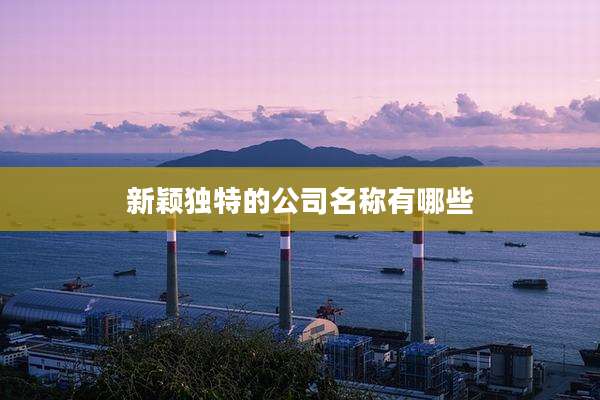 新颖独特的公司名称有哪些