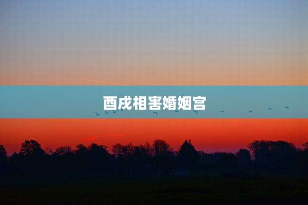 酉戌相害婚姻宫