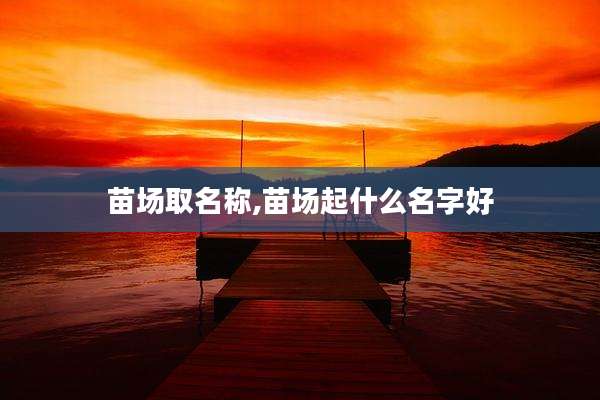 苗场取名称,苗场起什么名字好