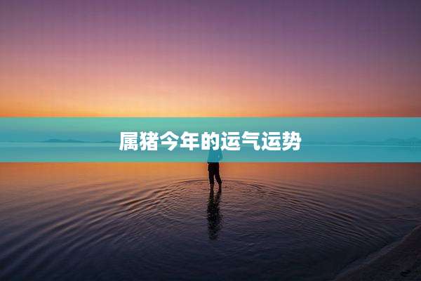 属猪今年的运气运势