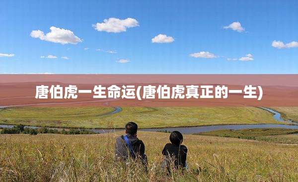 唐伯虎一生命运(唐伯虎真正的一生)