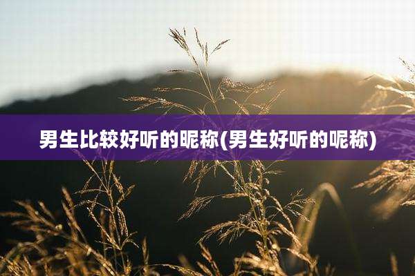 男生比较好听的昵称(男生好听的呢称)