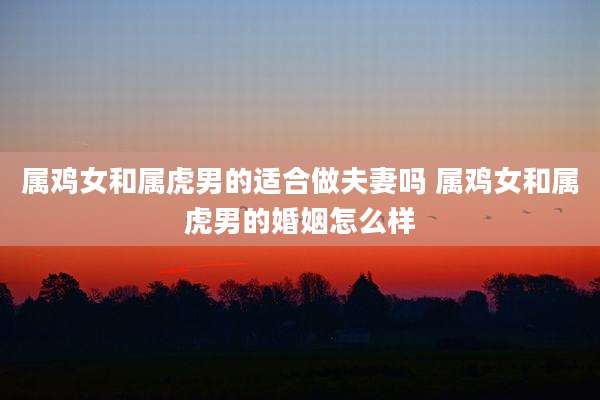 属鸡女和属虎男的适合做夫妻吗 属鸡女和属虎男的婚姻怎么样