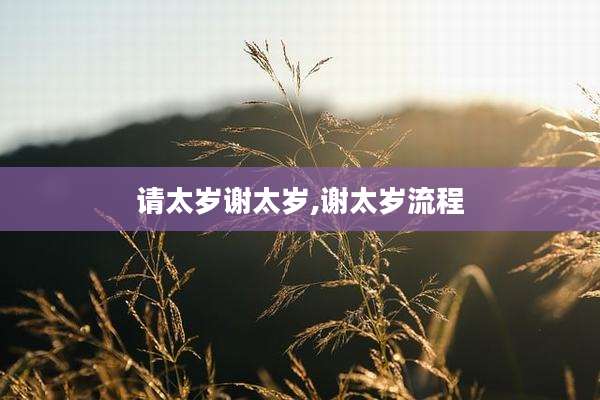 请太岁谢太岁,谢太岁流程