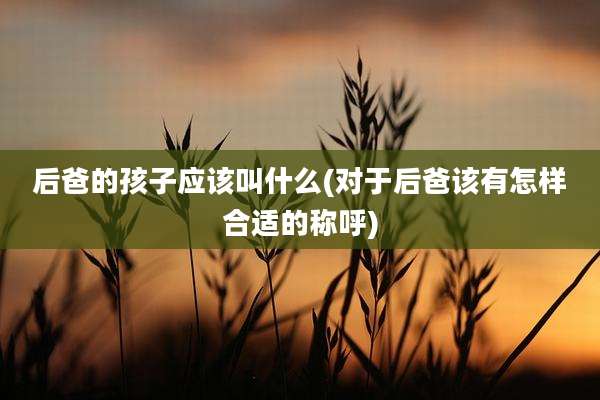 后爸的孩子应该叫什么(对于后爸该有怎样合适的称呼)
